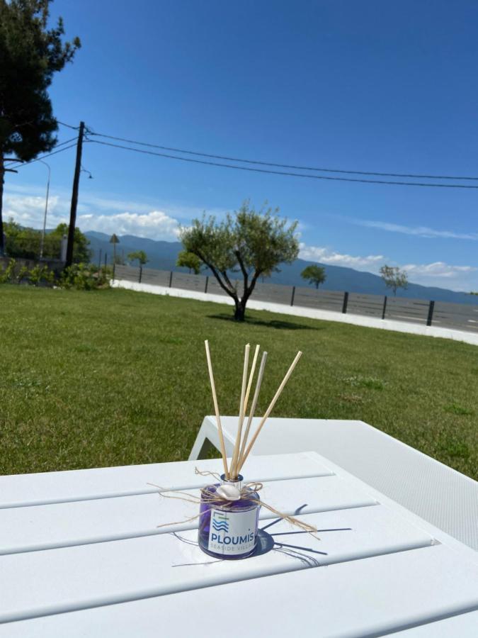 Ploumis Seaside Villas スタブロス エクステリア 写真